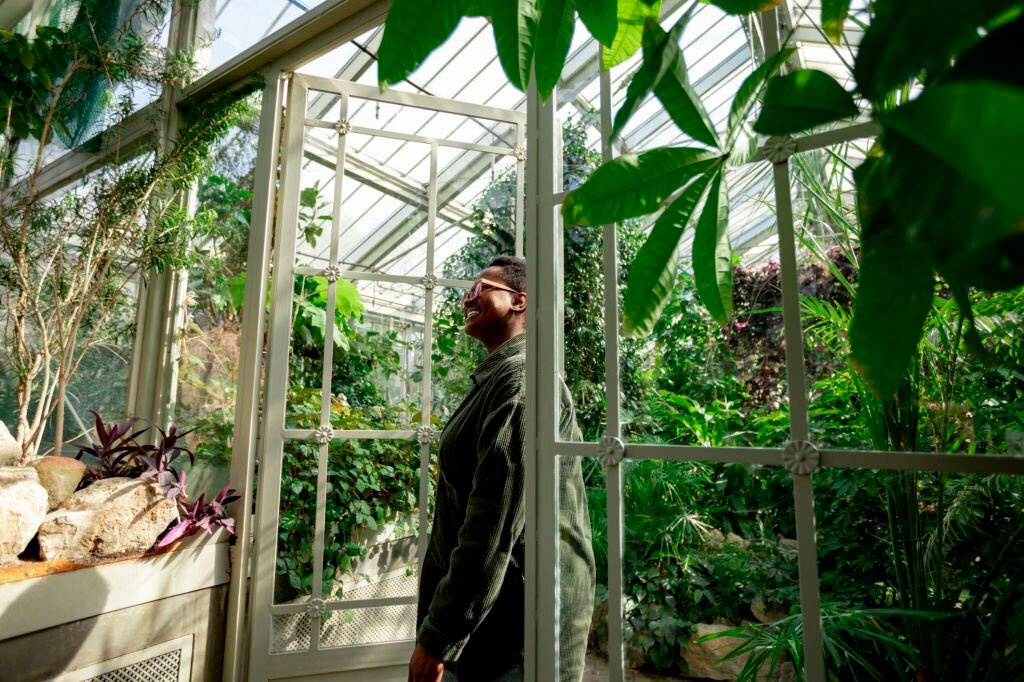 Один из вариантов голландской теплицы.