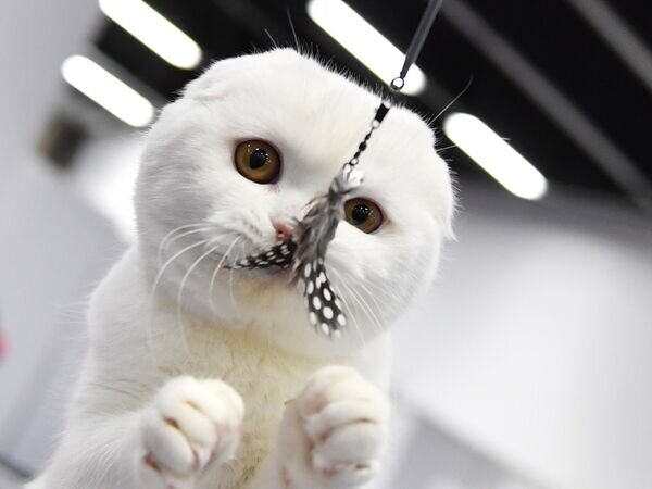   © РИА Новости Наталья Селиверстова