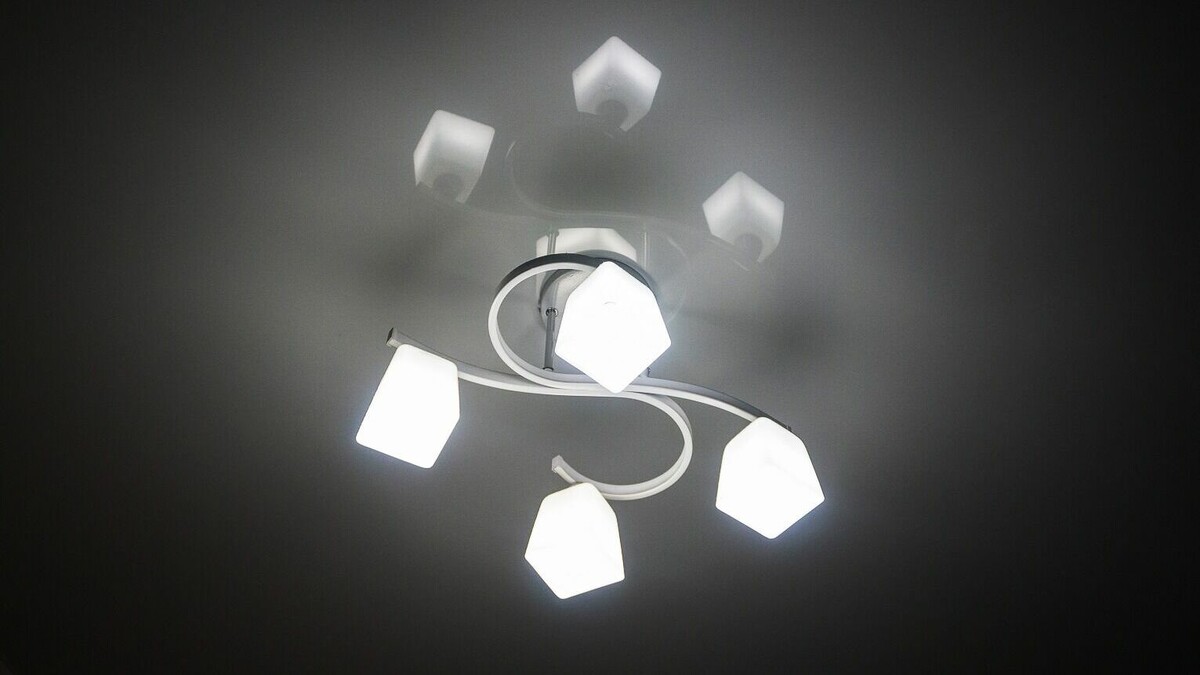     Тревога кота спасла жительницы краевого центра жизнь.