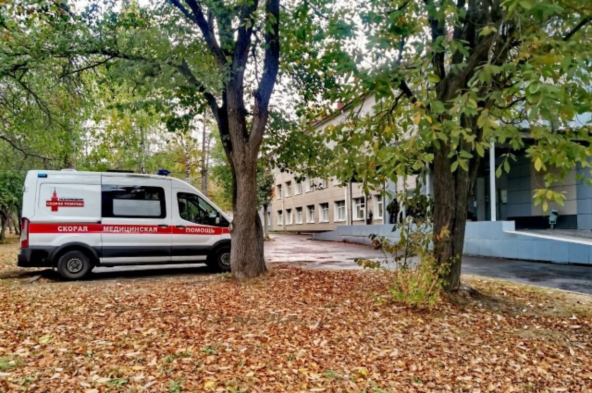    В больницу Екатеринбурга снова поступил пациент после укуса змеи