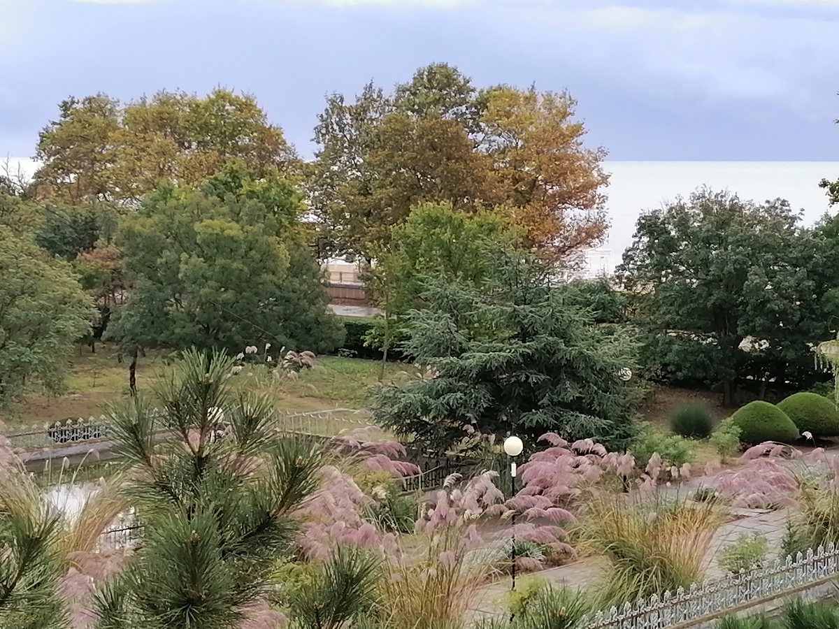 Авторское фото 