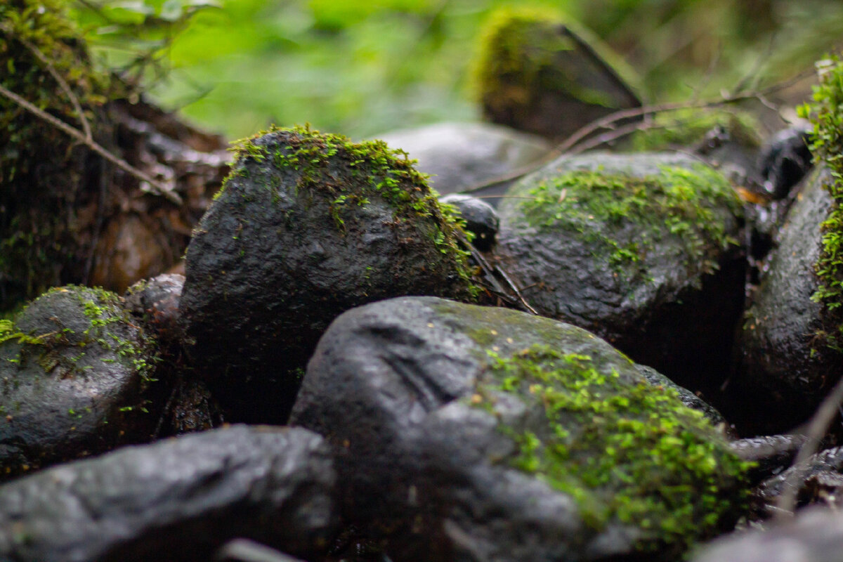 Груды валунов на ручье, текущем по склону к Льзне