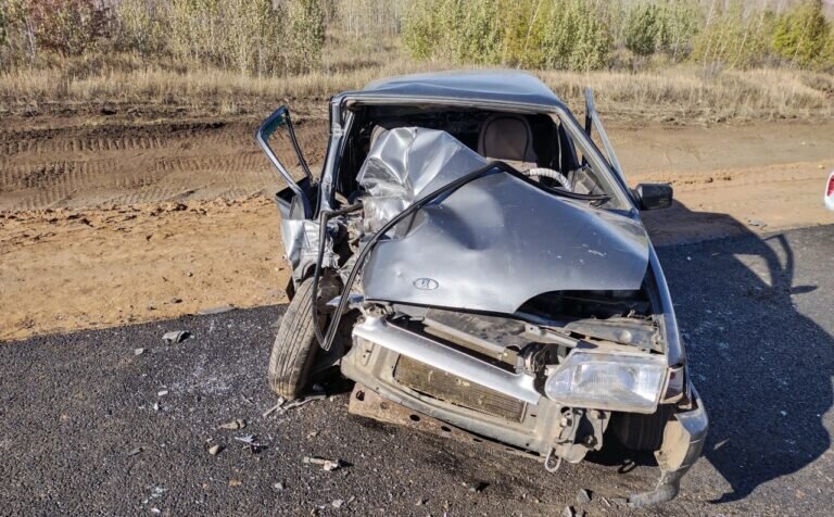    В Новосергиевском районе при столкновении легковушки и грузовика пострадали два человека Кристина Просвиркина