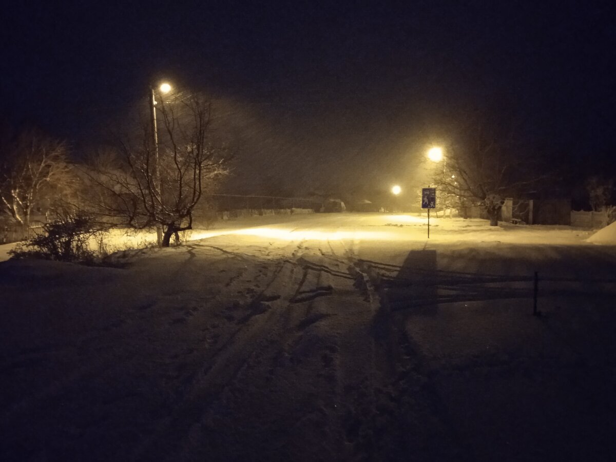 Во бору брусника на заснеженной тропе 73