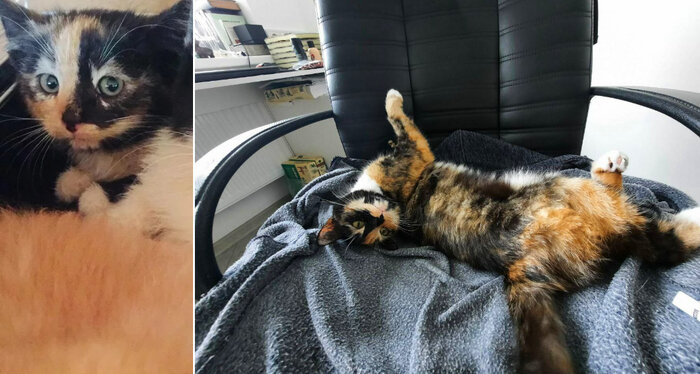 Листайте вправо, чтобы увидеть больше изображений