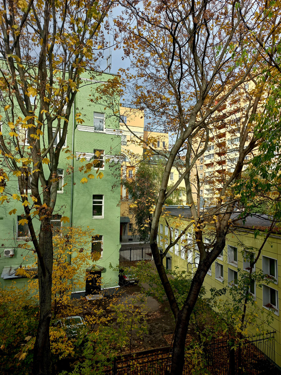 Осеннее, вдохновенное. Взгляд из окна ДМШ