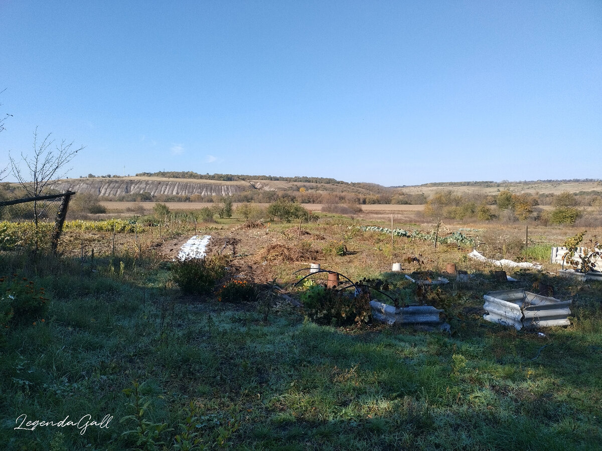 Присела отдохнуть. Солнце еще низенькое, пол-огорода в тени.