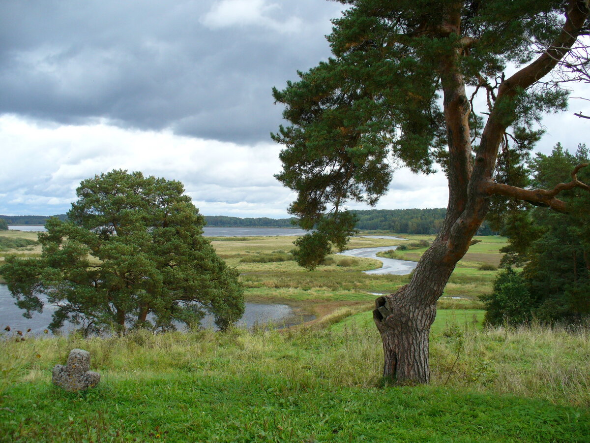 Савкина горка. Фото автора