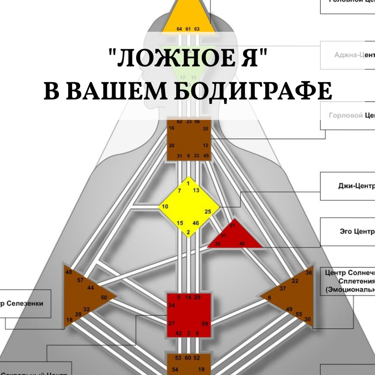 Лекция-1.pdf