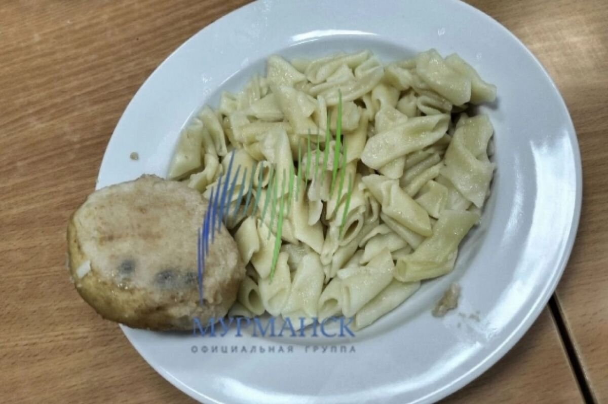    Соцсети: в мурманской школе детей кормят котлетами с плесенью
