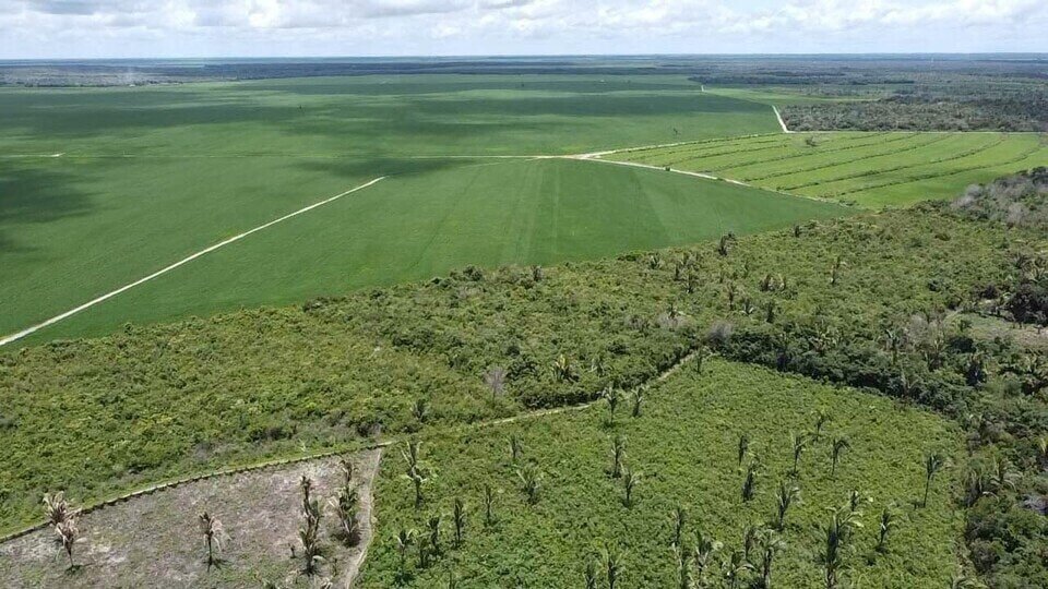    В современной Бразилии остается все меньше нетронутых земель / © Alencar Zanon/University Federal of Santa Maria