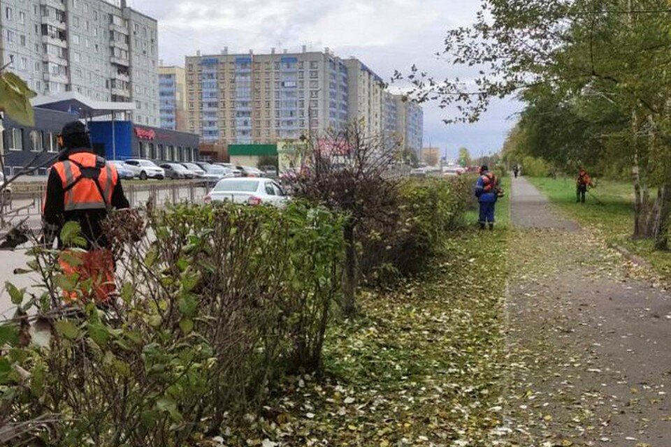     В Красноярске продолжают косить траву. Фото: администрация города