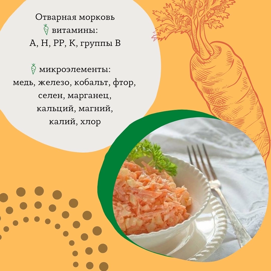 Мне б капустку на второе, а на первое салат… | Преображенский кадетский  корпус | Дзен