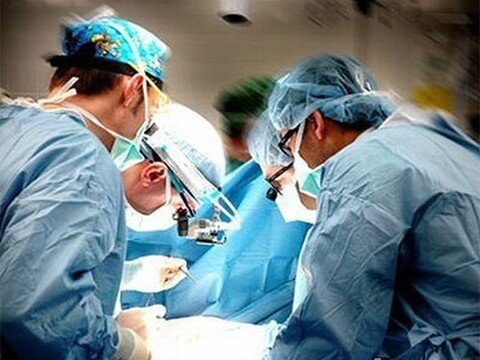 ФОТО: sitekid.ru