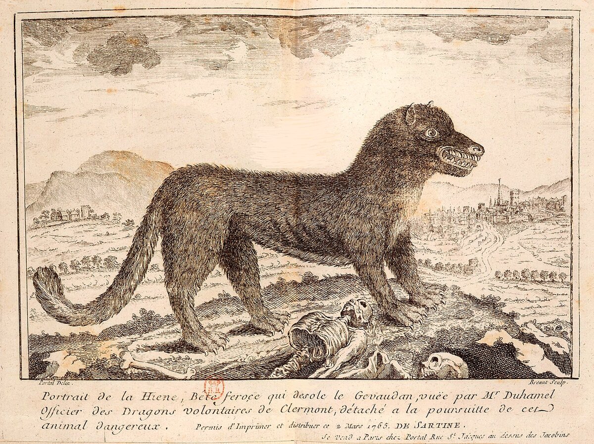 Зарисовка Жеводанского Монстра, сделанная современниками (вторая половина XVIII века).