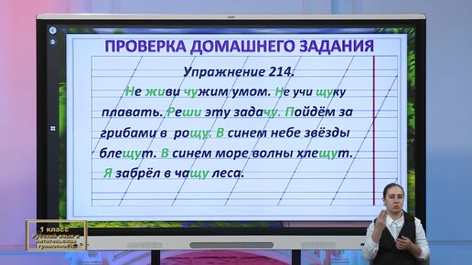 В Екатеринбурге фасад 12-этажного корпуса вуза стал солнечной электростанцией