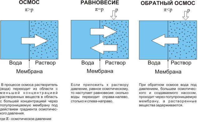 Разница между прямым и обратным осмосом (взято с Яндекс картинок)