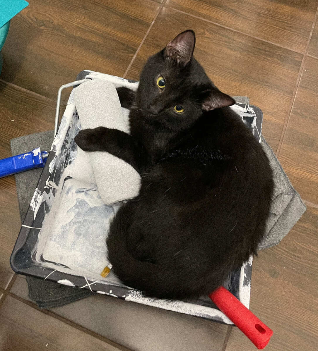 Фото из архива автора. Ремонт я тоже люблю 