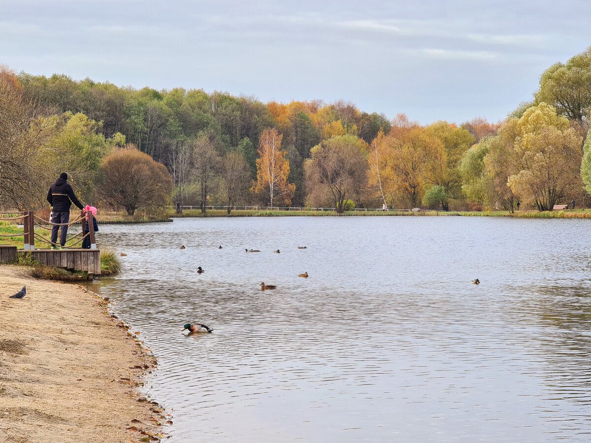 Терлецкий парк, фото автора
