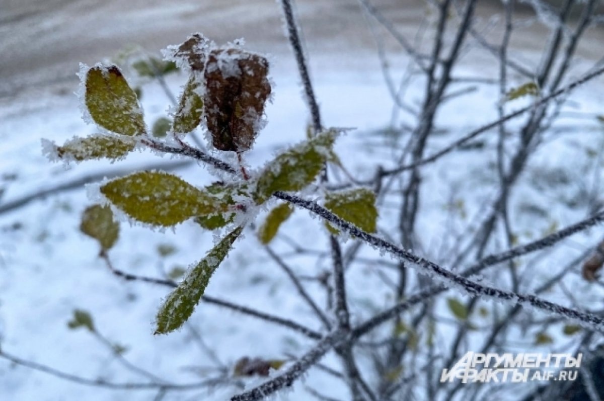    На выходных в Красноярске ночная температура не поднимется выше -11