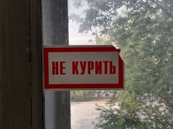     фото: МК в Туле.