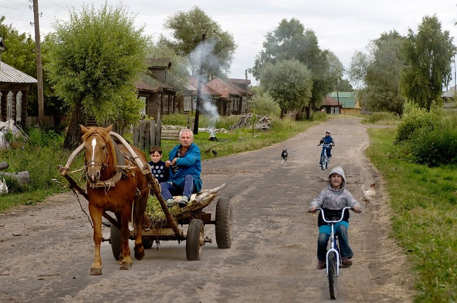 Каникулы в деревне фото Нарисуем будем жить Семейный канал Дзен