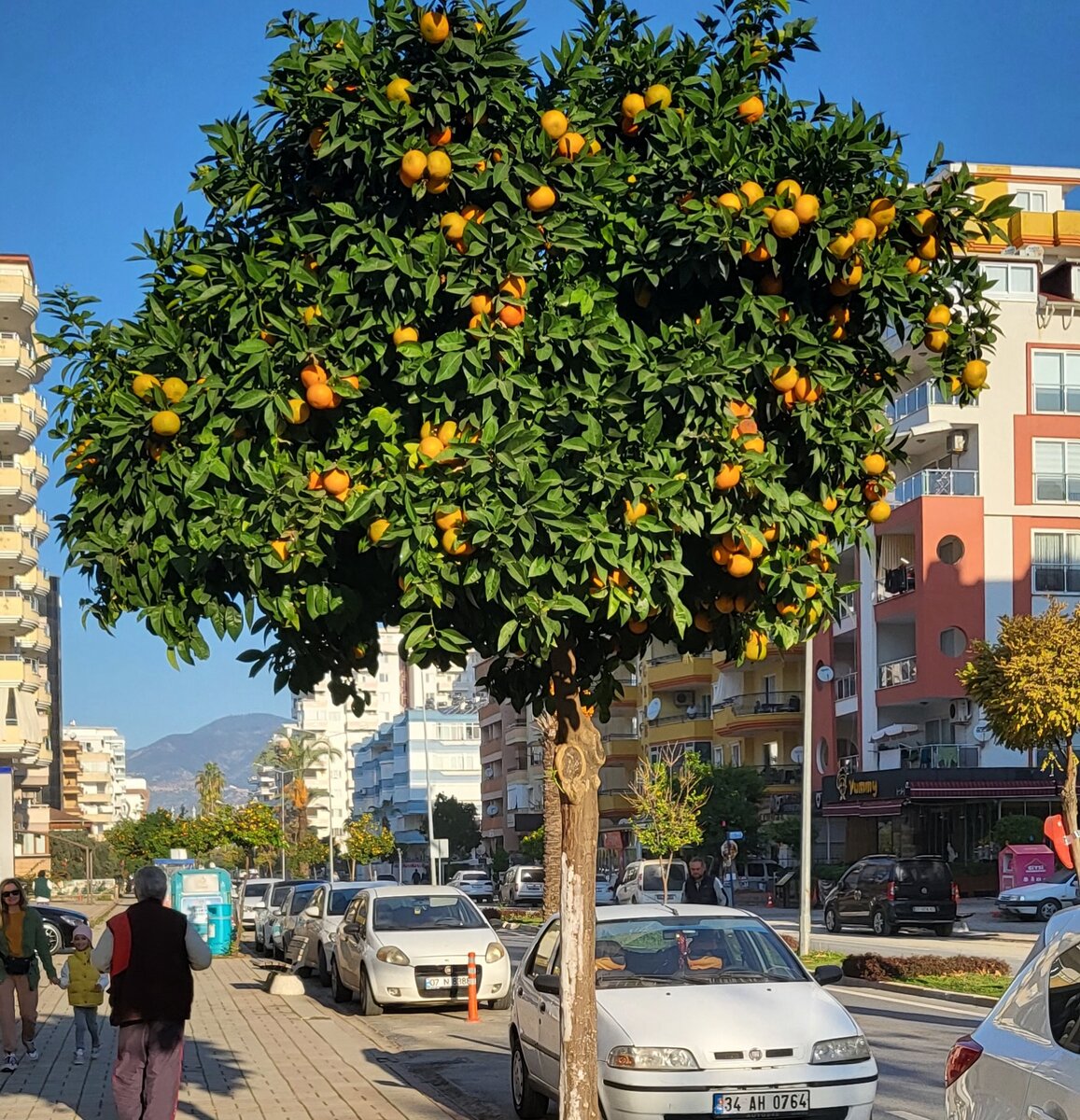 Улочки Махмутлара, горы на заднем плане, фото из личного архива