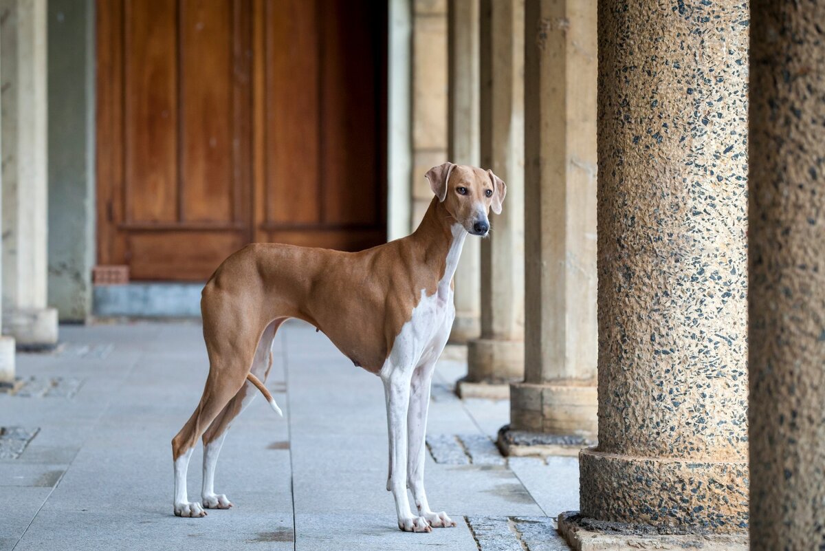    Фото: Getty Images