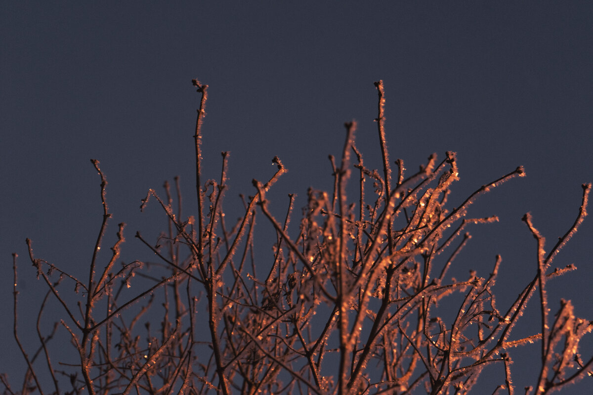 авторское фото