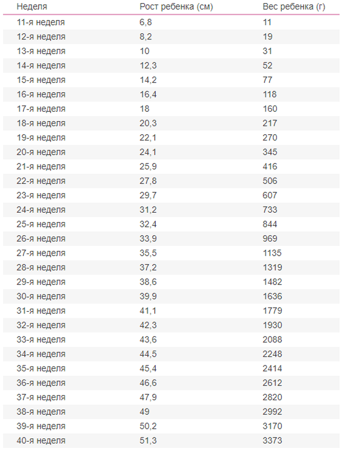 Размеры плода по неделям беременности: рост и вес