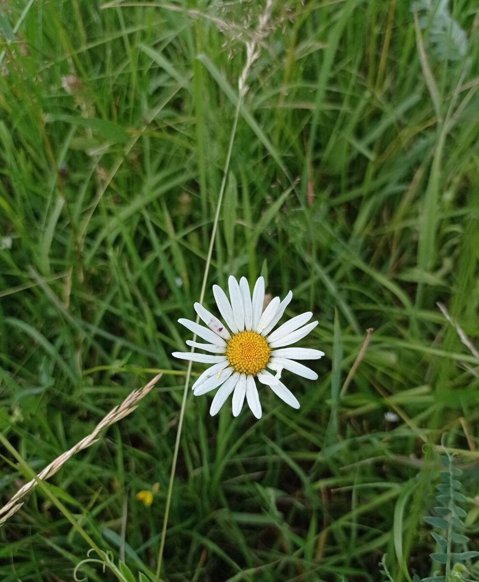 фото из личного архива