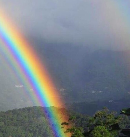 Радуга бывает очень красивой.