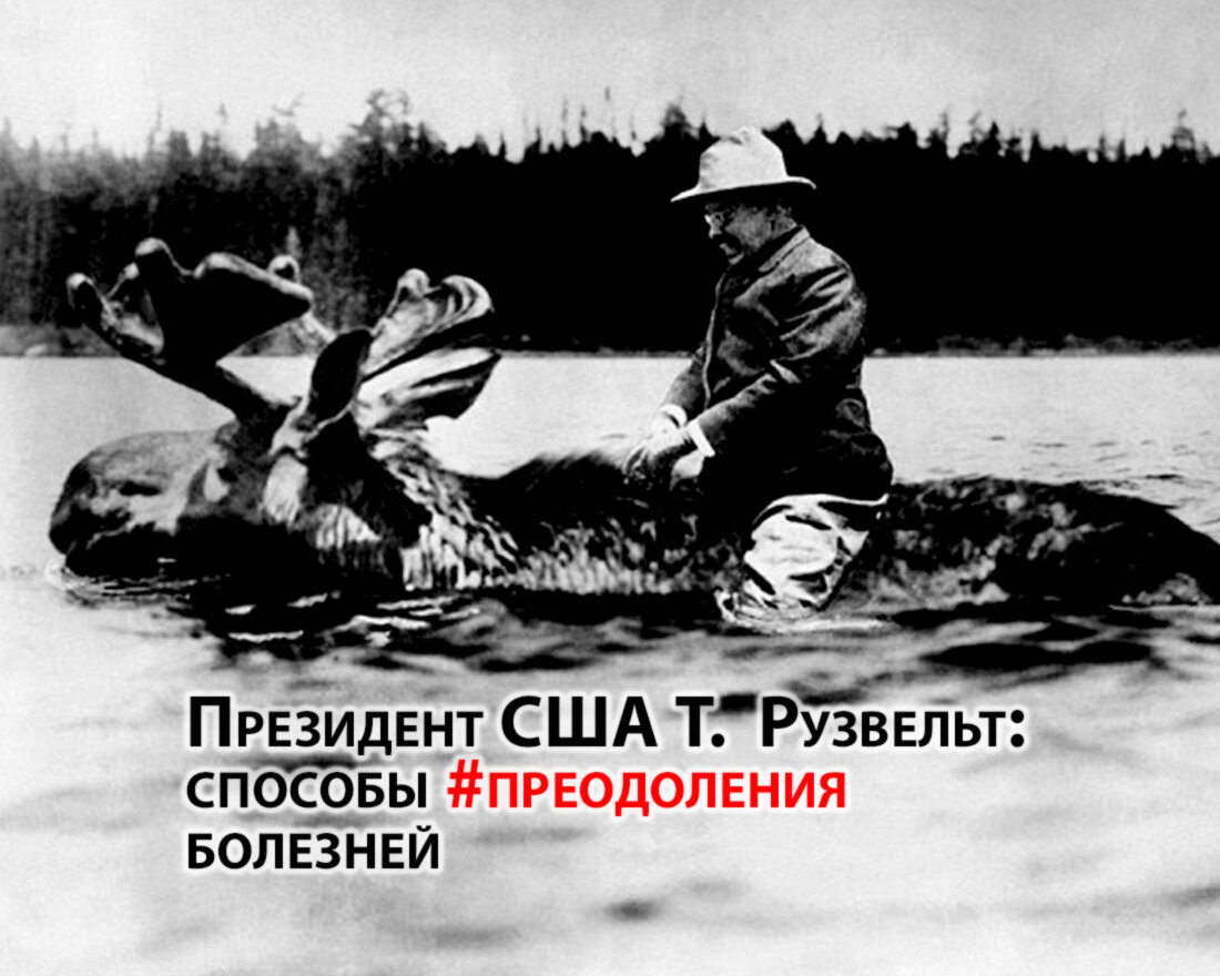 Источник фото https://img-fotki.yandex.ru/get/9305/163146787.342/0_cbeae_7cf22631_XL.jpg
