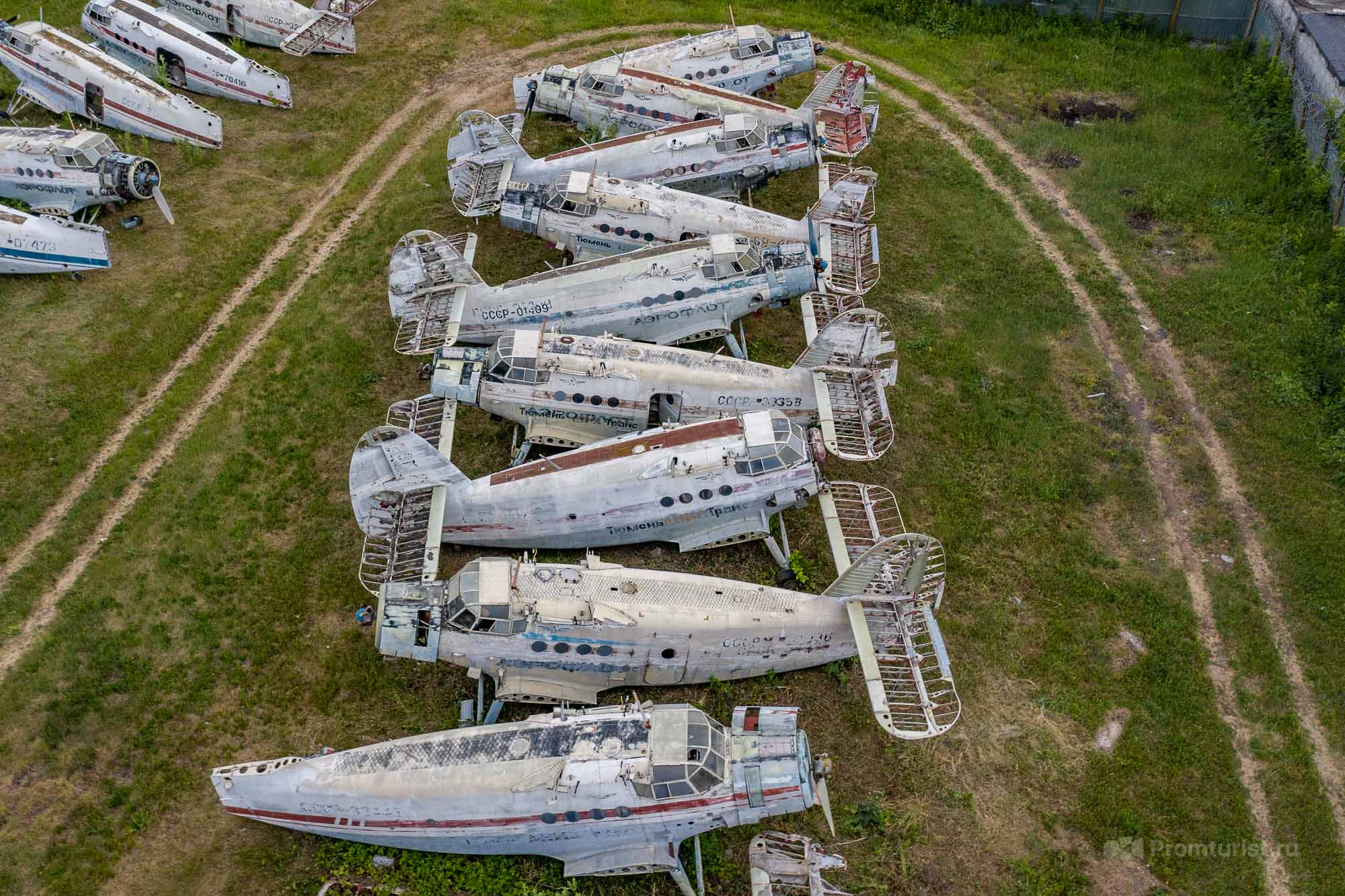 Нашёл за гаражами аккуратное кладбище самолётов Ан-2. Красиво конечно, но много вопросов ✈️⚰️?4