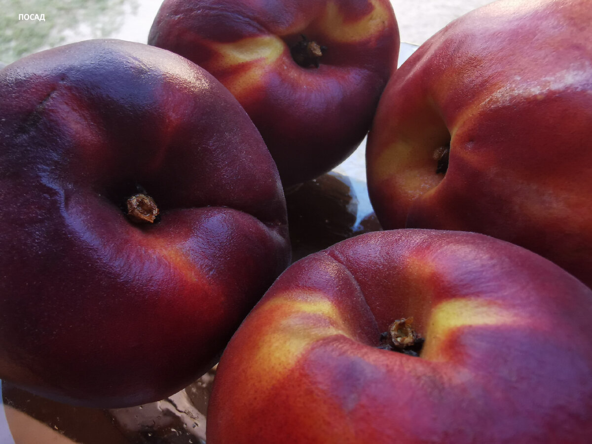 Спелые персики. Привозные, правда.