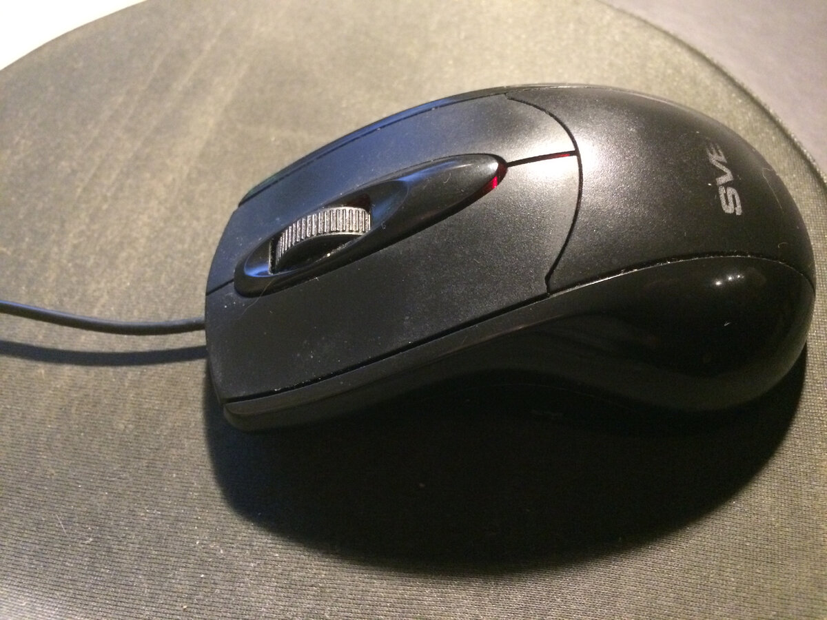 Такую мышку не съешь, хоть она и не убегает….