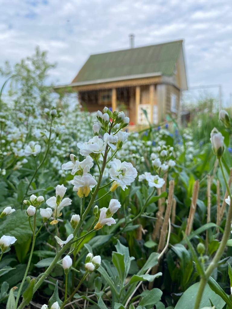 Планировка дачного участка 6 соток