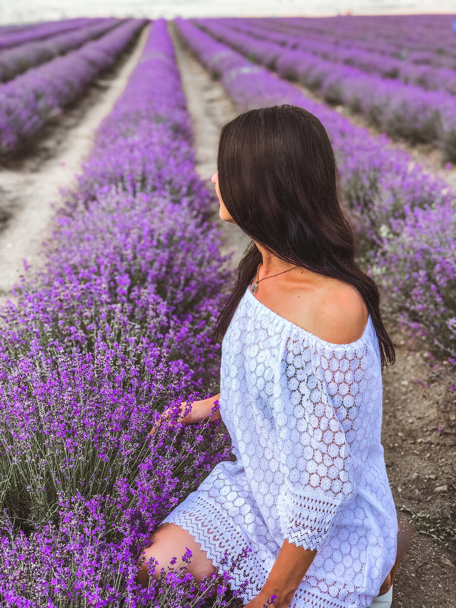 Всем советую поехать в Тургеневку на лавандовые поля!