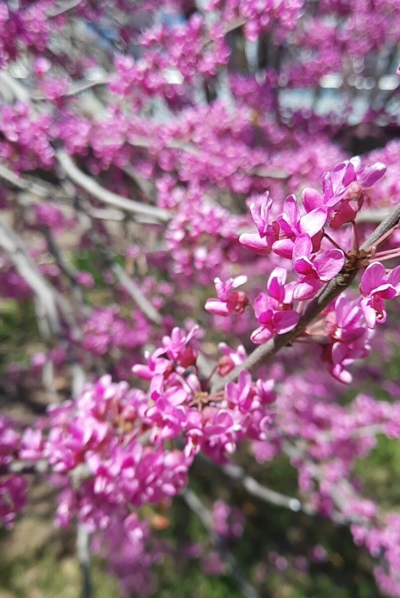 Счастье это красота изнутри