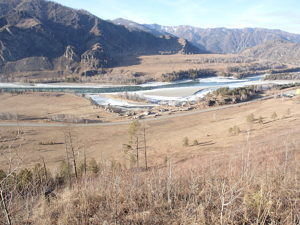 Чемал. Январь.