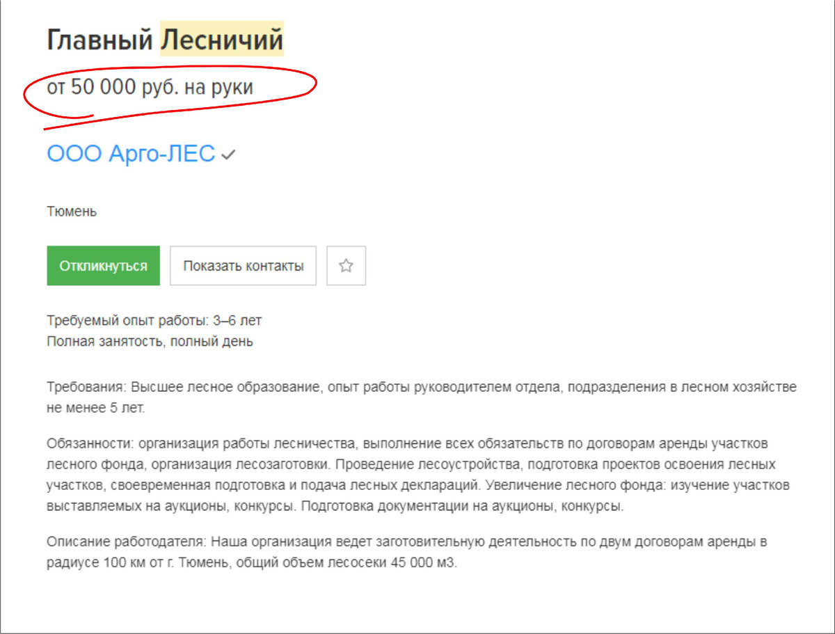 Правда ли, что лесники зарабатывают более 50 000 рублей? Поговорим , как  ситуация выглядит на самом деле. | МАГУСТО | Дзен