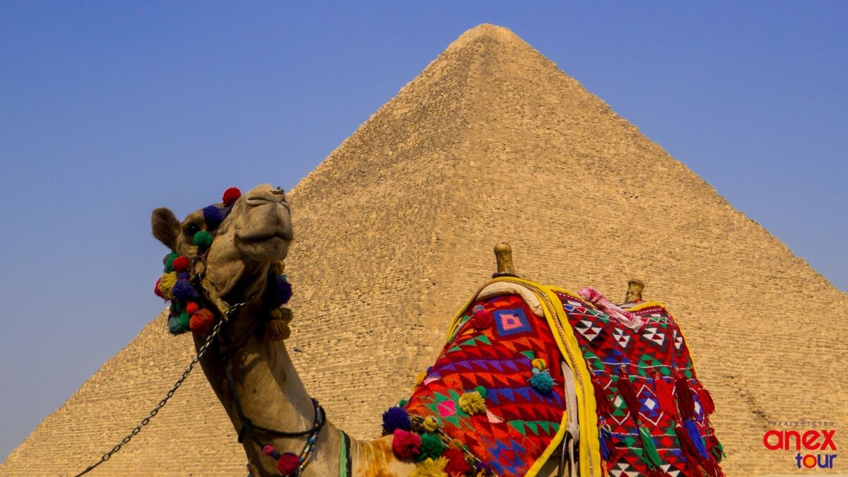 Что лучше: Египет или Турция