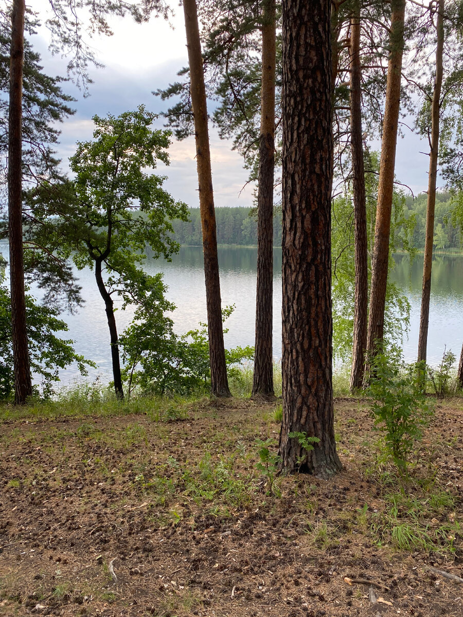 Бараус озеро челябинск. Озеро Бараус. Озеро Бараус Челябинская область. Бараус озеро Челябинск на карте. Бараус озеро Челябинск фото.