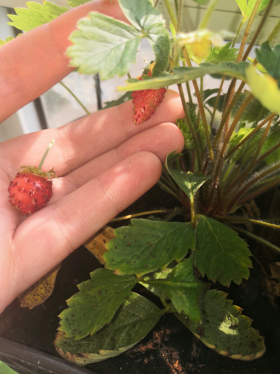 Фото из личного архива