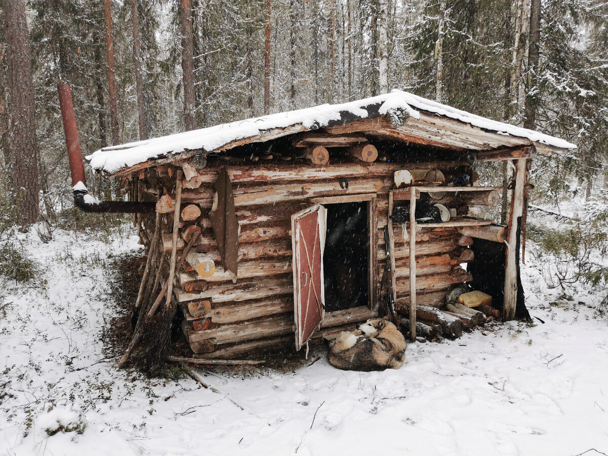 Избушка без курьих ножек