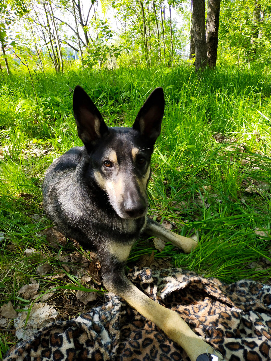 как же хочется лето!