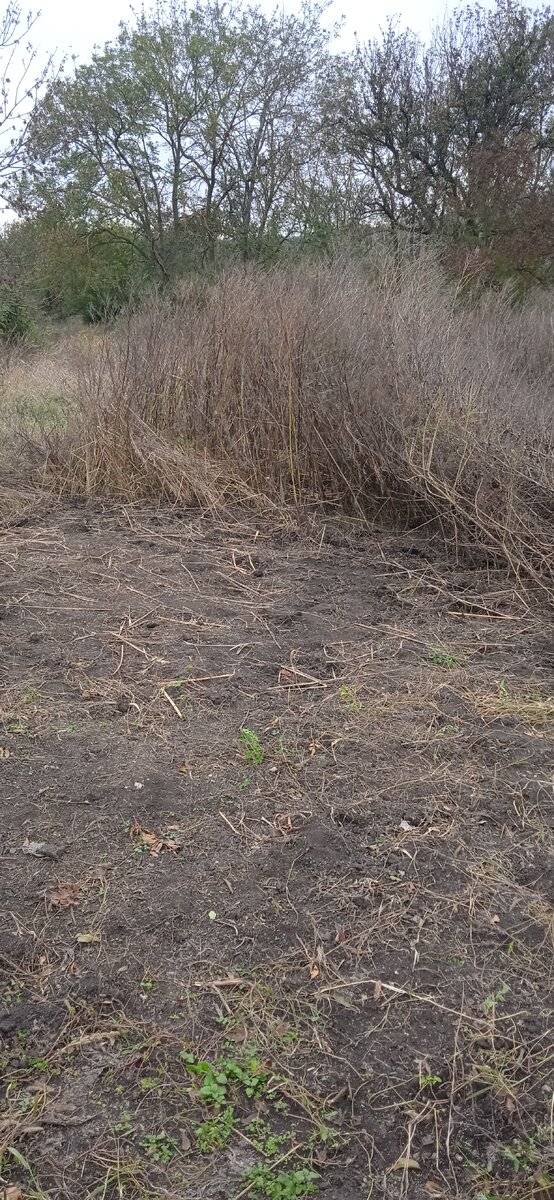 Убираю всё руками, что-то даже на вилы денег жалею пока. Это потому что нужно много чего и сразу, но более необходимых трат больше) Со временем всё приобретем.