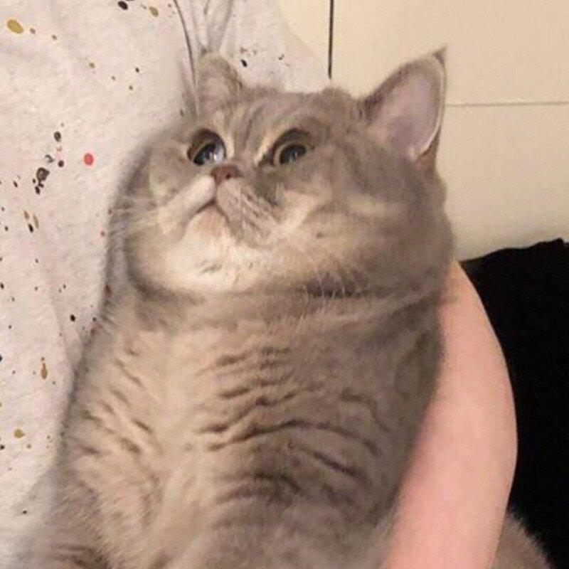 Позвони Коту (CosmoDev ұсынады) - Яндекс Игры