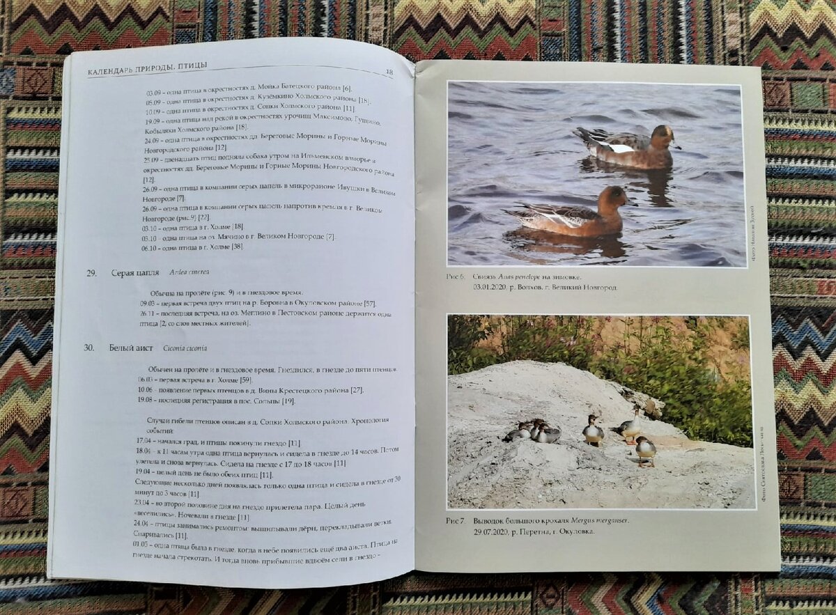 Внутри собраны сведения о наблюдениях за разными видами птиц