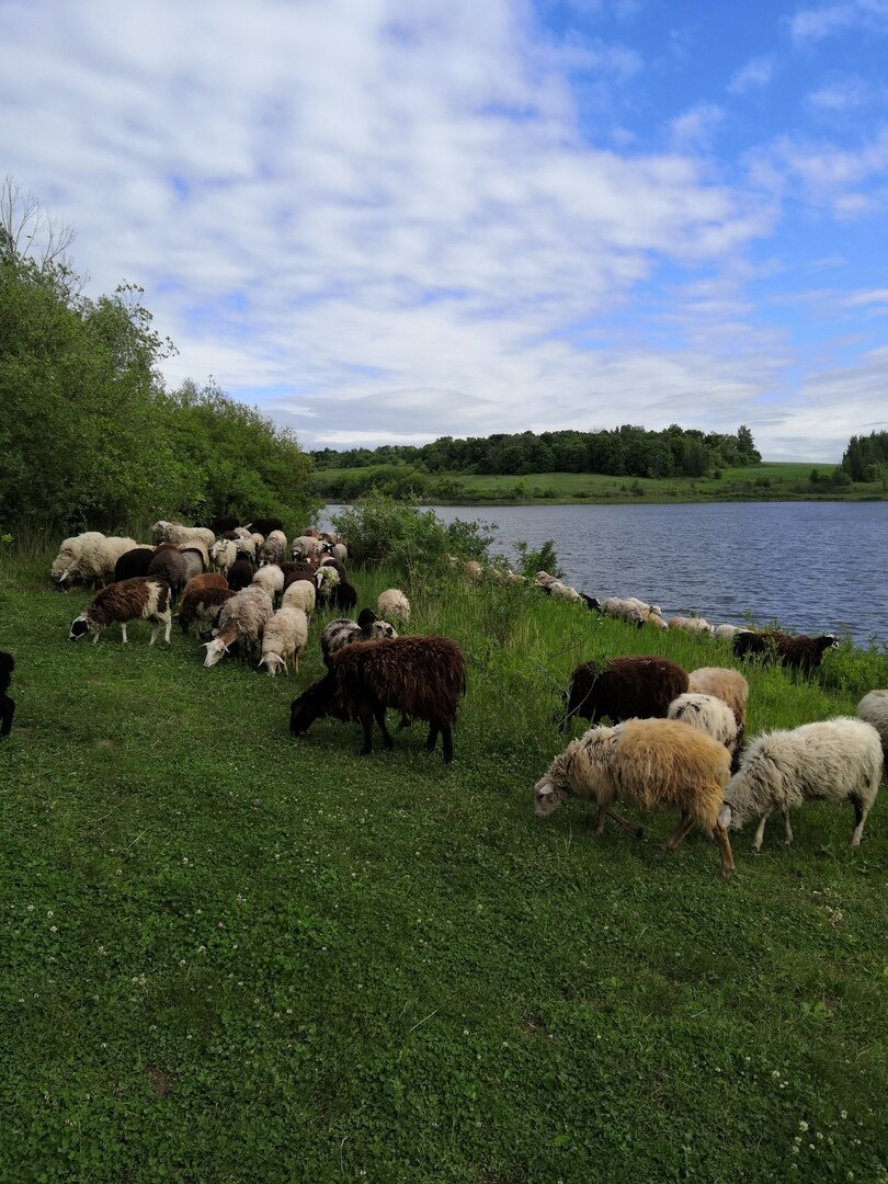 Фото дочери
